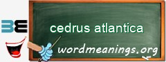 WordMeaning blackboard for cedrus atlantica